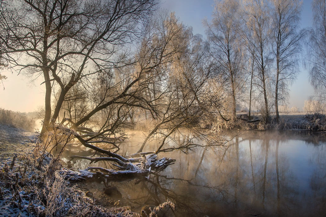 Утренняя свежесть