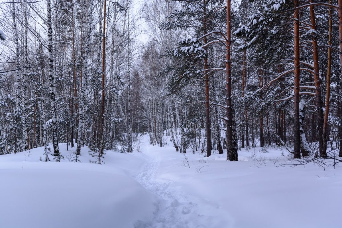 Русская зима!