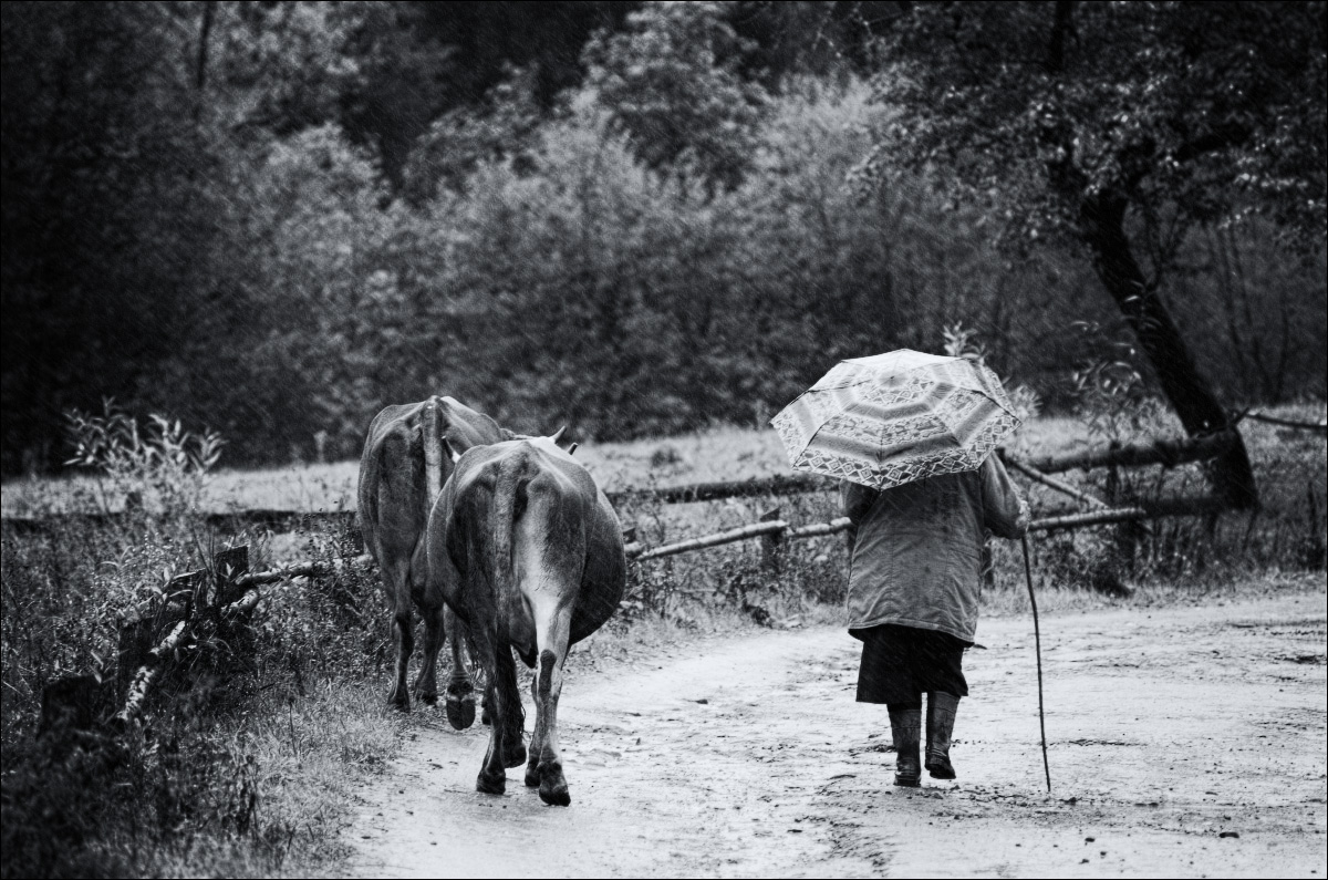 Бабушкина пятница