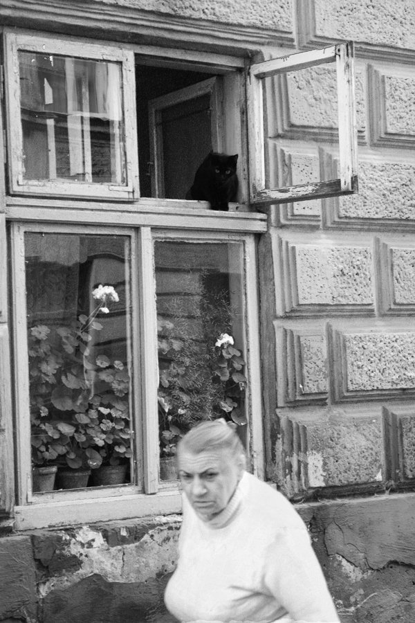 Бабушкина пятница