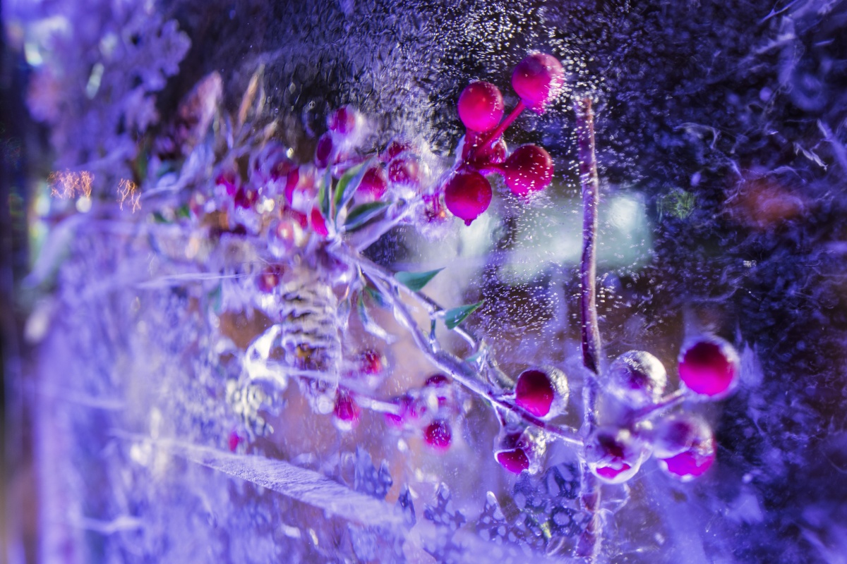 Замуровали!