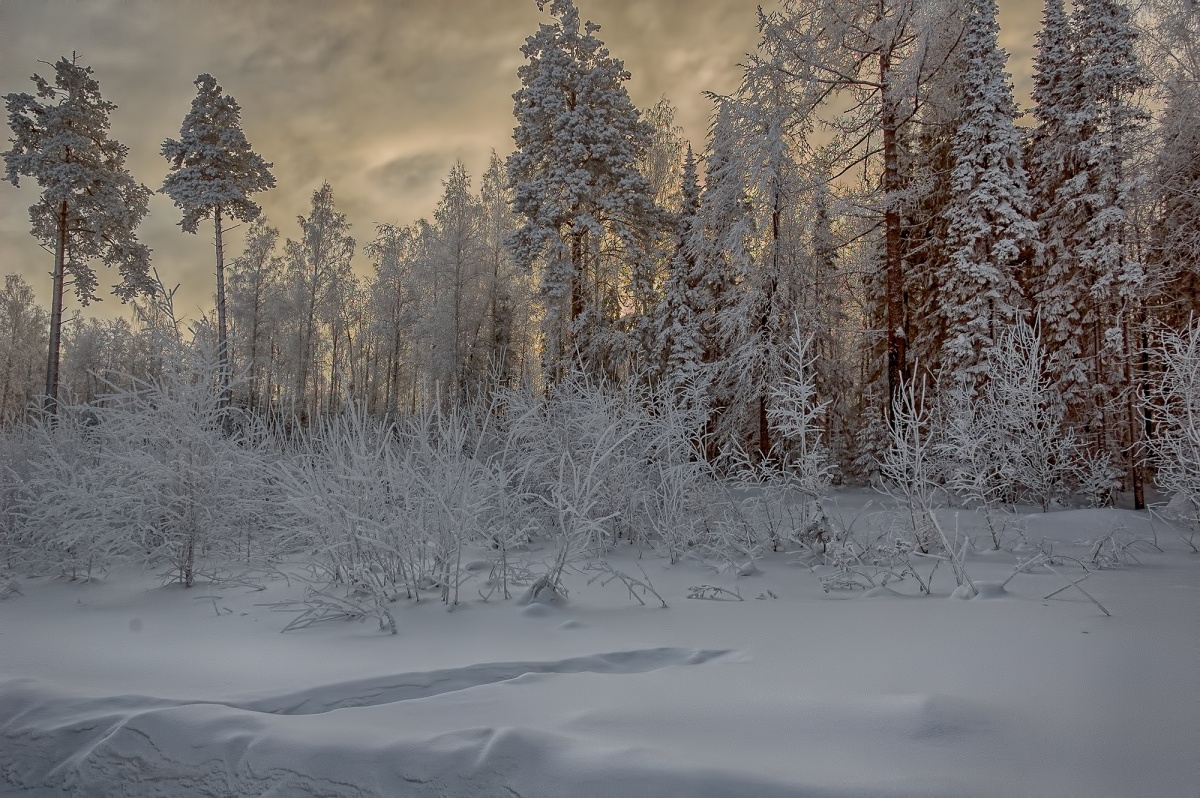 Вечерний этюд