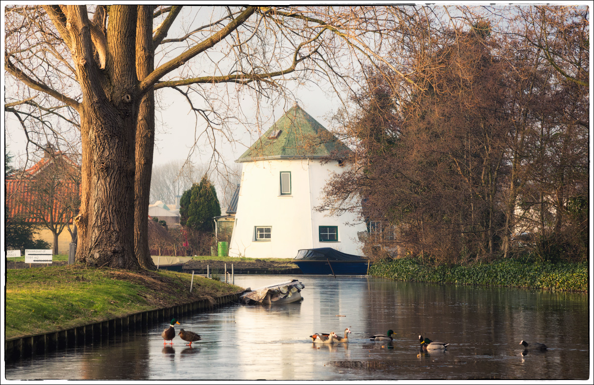 / Провинциальная Голландия /