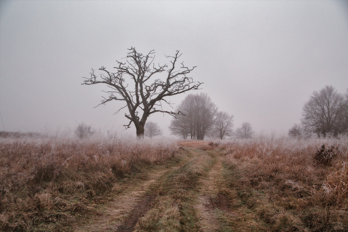 Предзимнее состояние