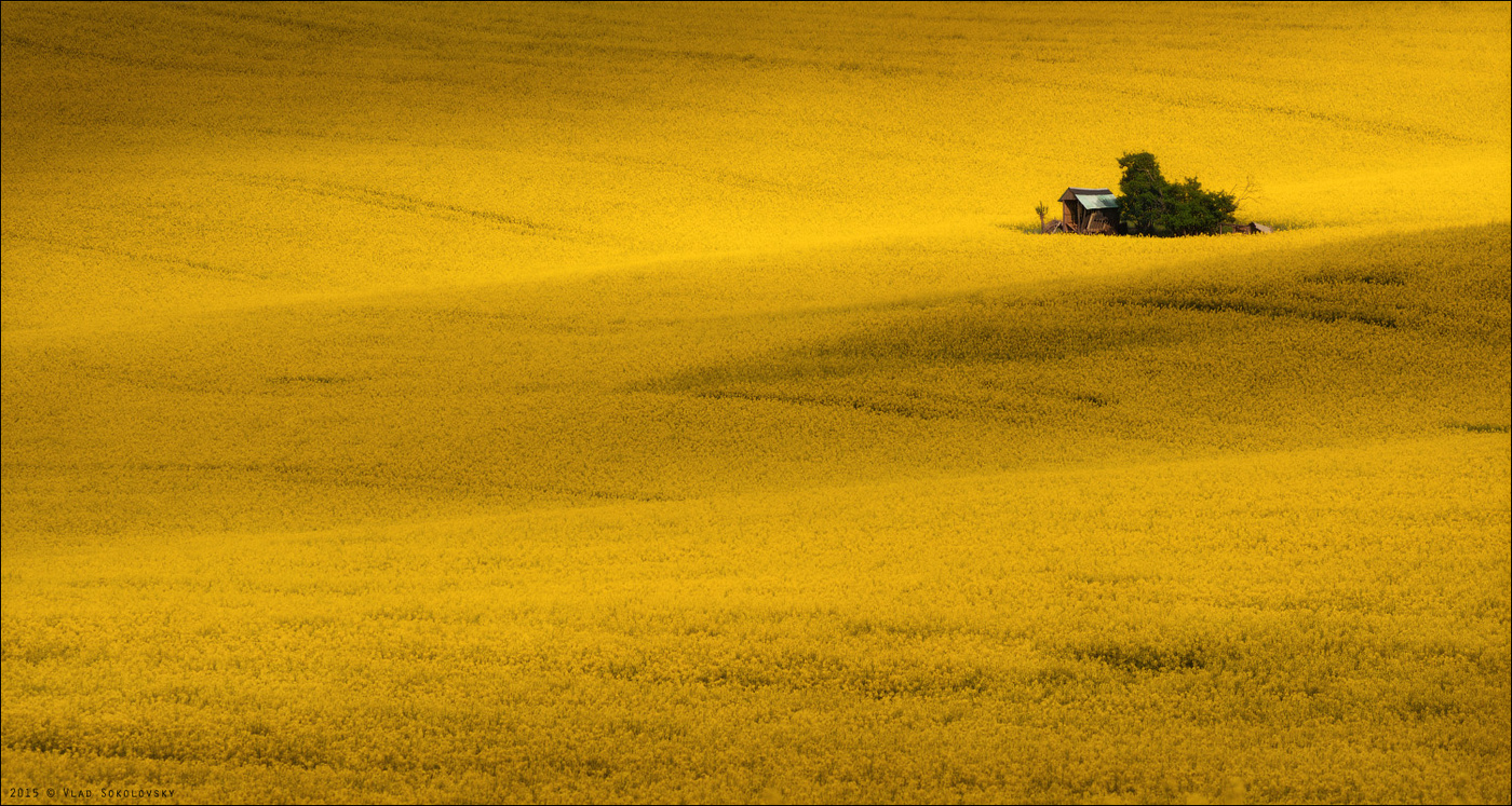 / Моравская рапсодия /