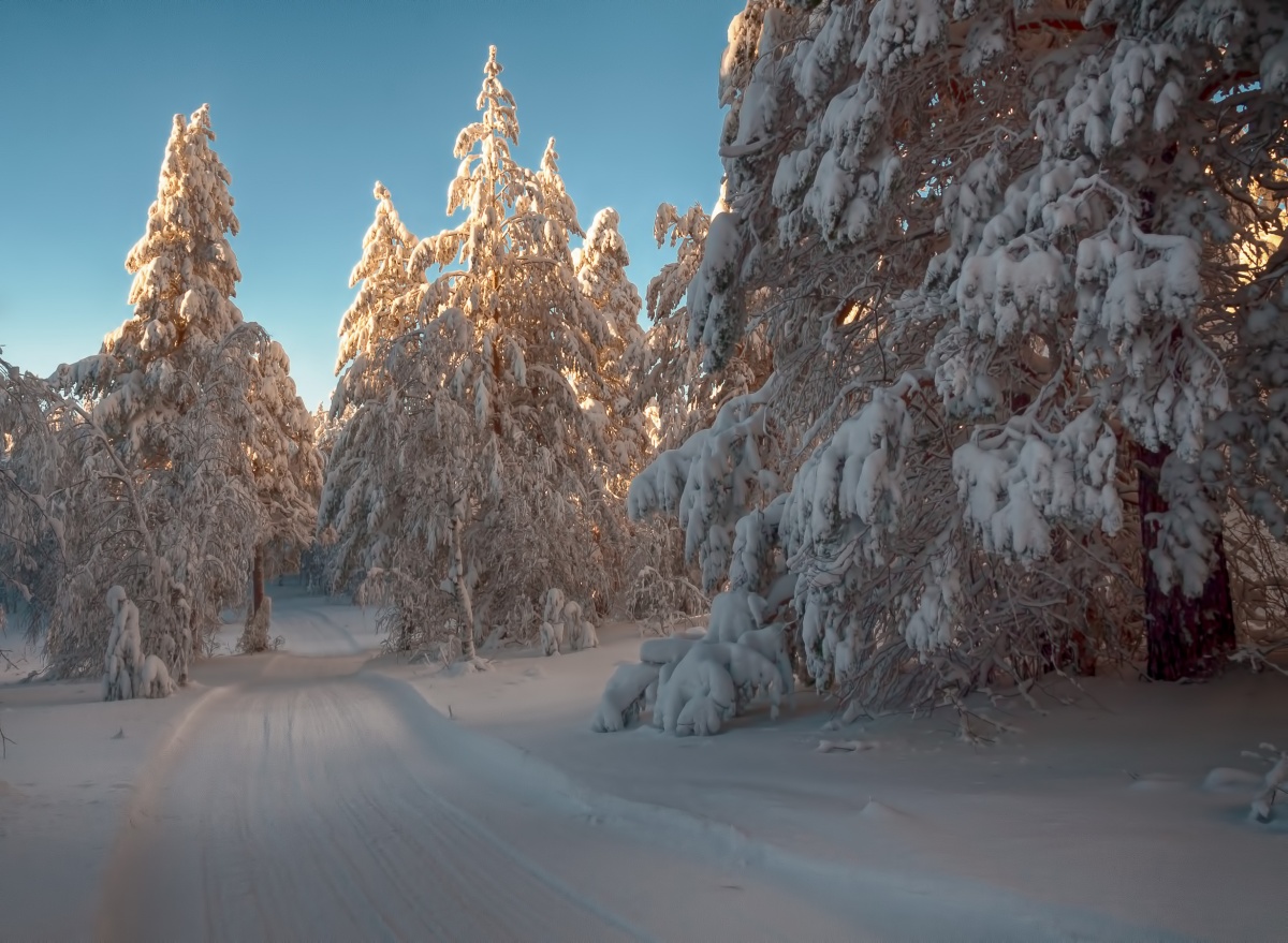 Убегающая вдаль