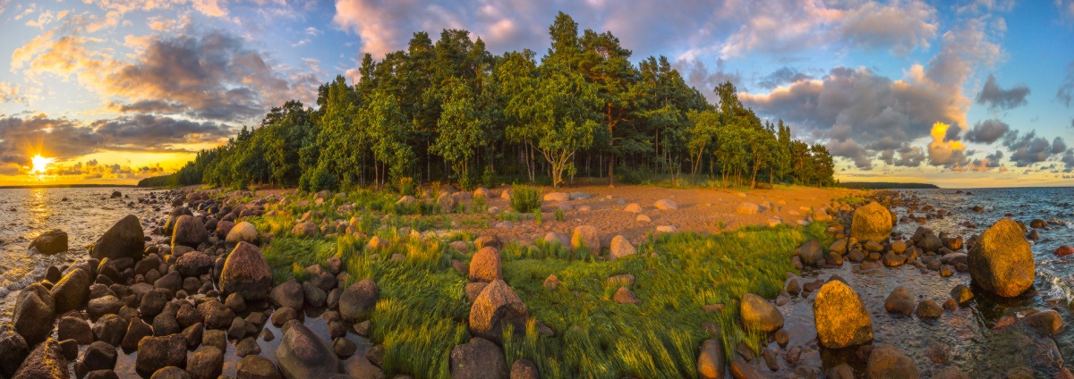 Берег Финского залива.
