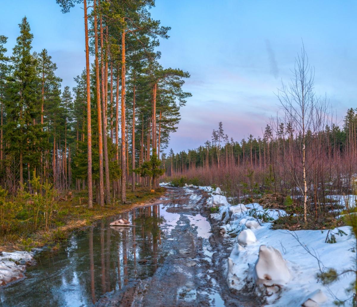 Весна. Сумерки.