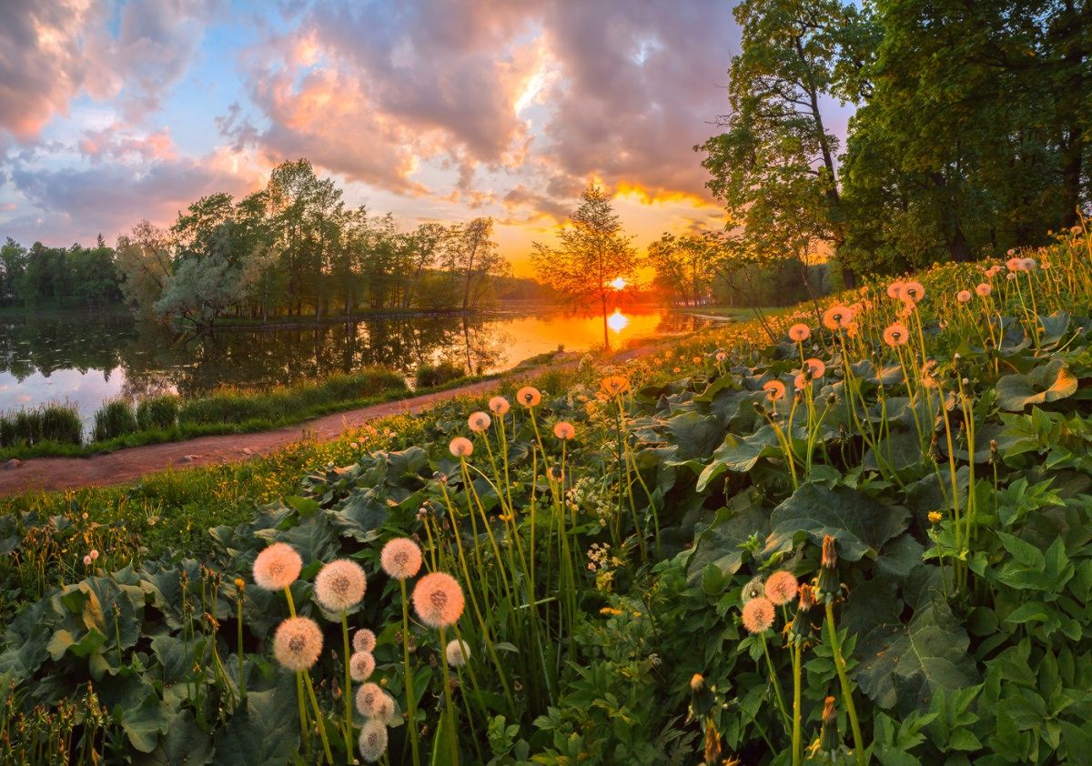 В последние дни весны.