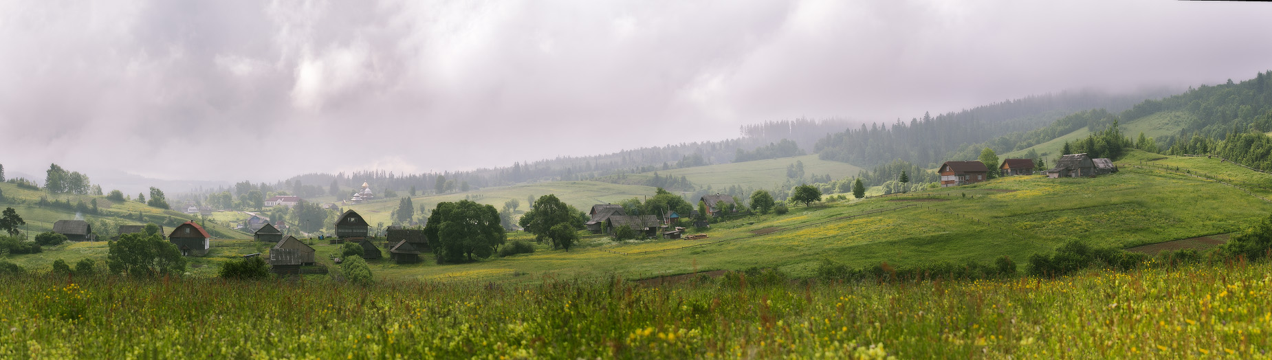 Про июньский дождь в Карпатах