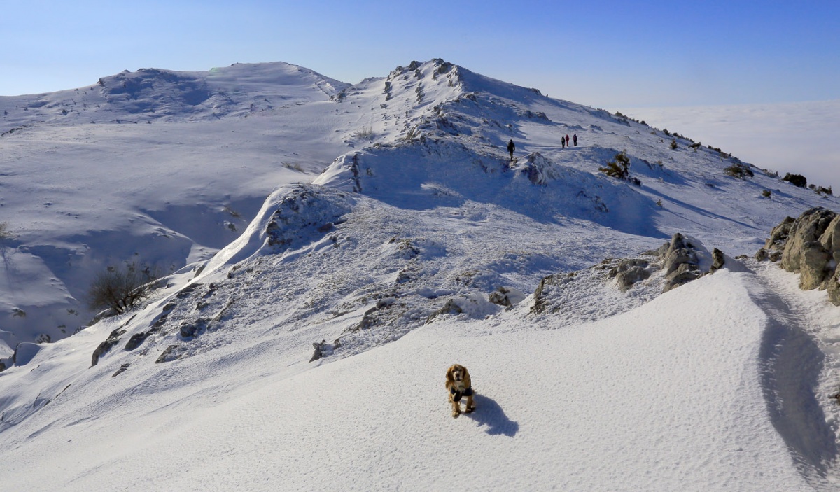 Верхнее плато Чатыр-Дага