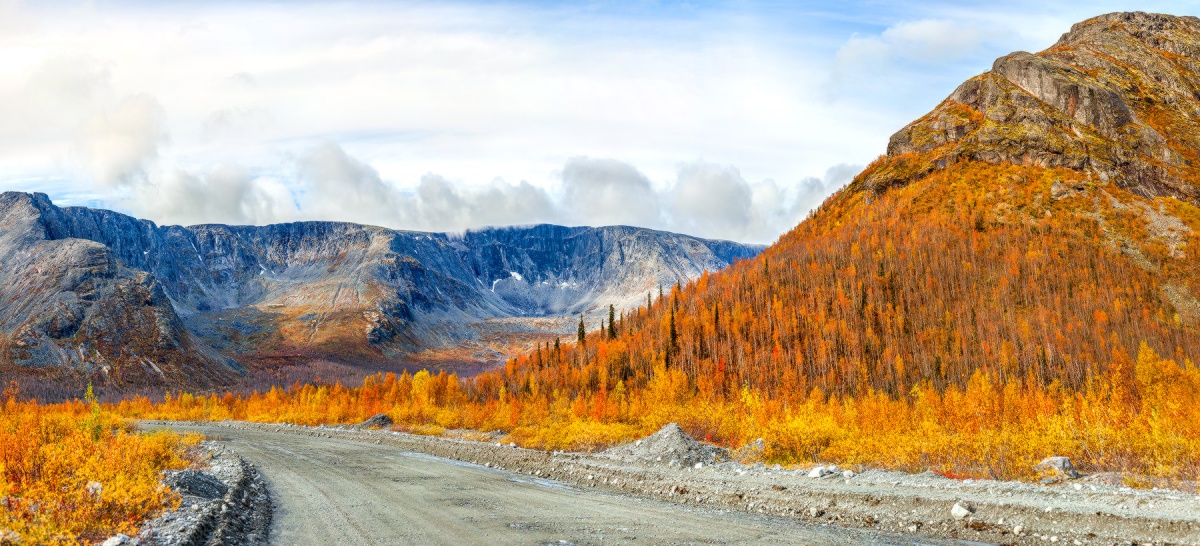 Дорога в осень.
