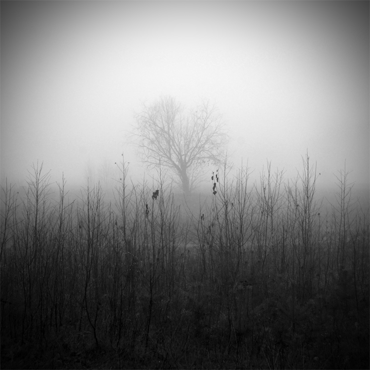 Один, совсем один