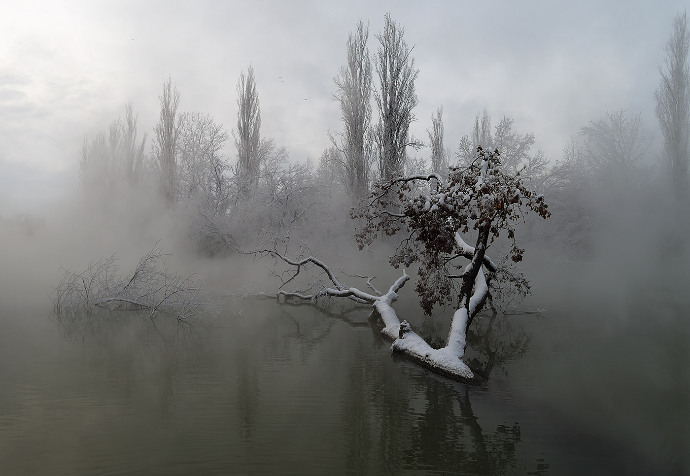 Холодное утро