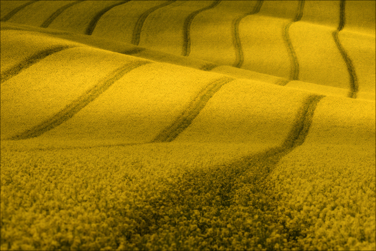 / Три этюда с рапсом /