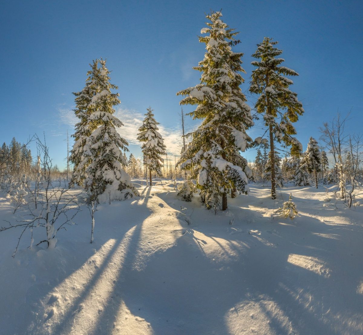 Групповой портрет.