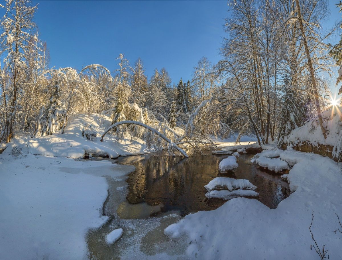 Зимний вид на реке.
