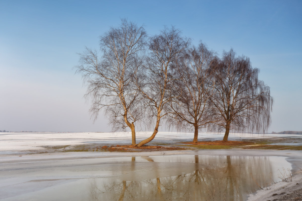 О преждевременной весне