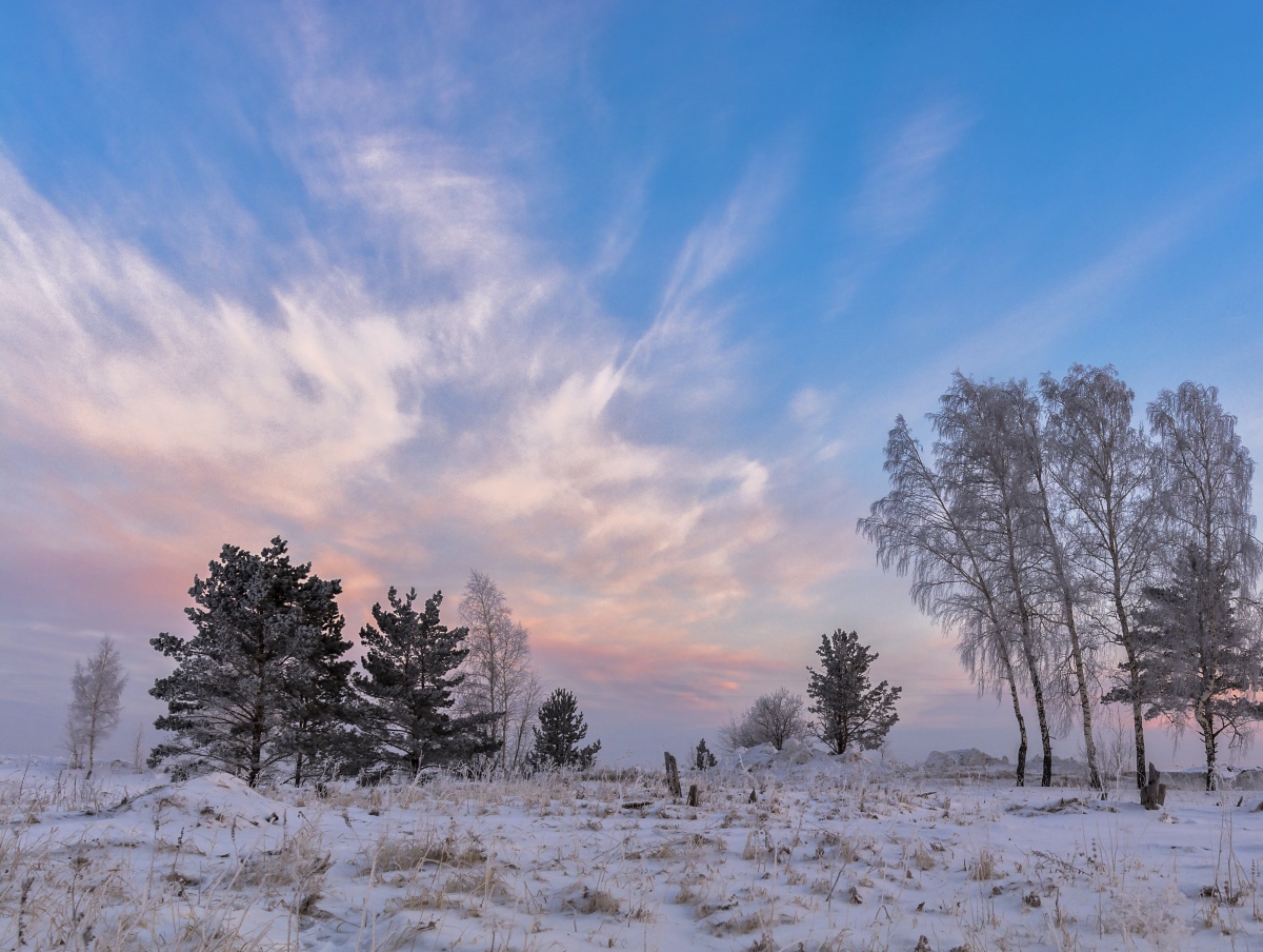 Удачное утро!