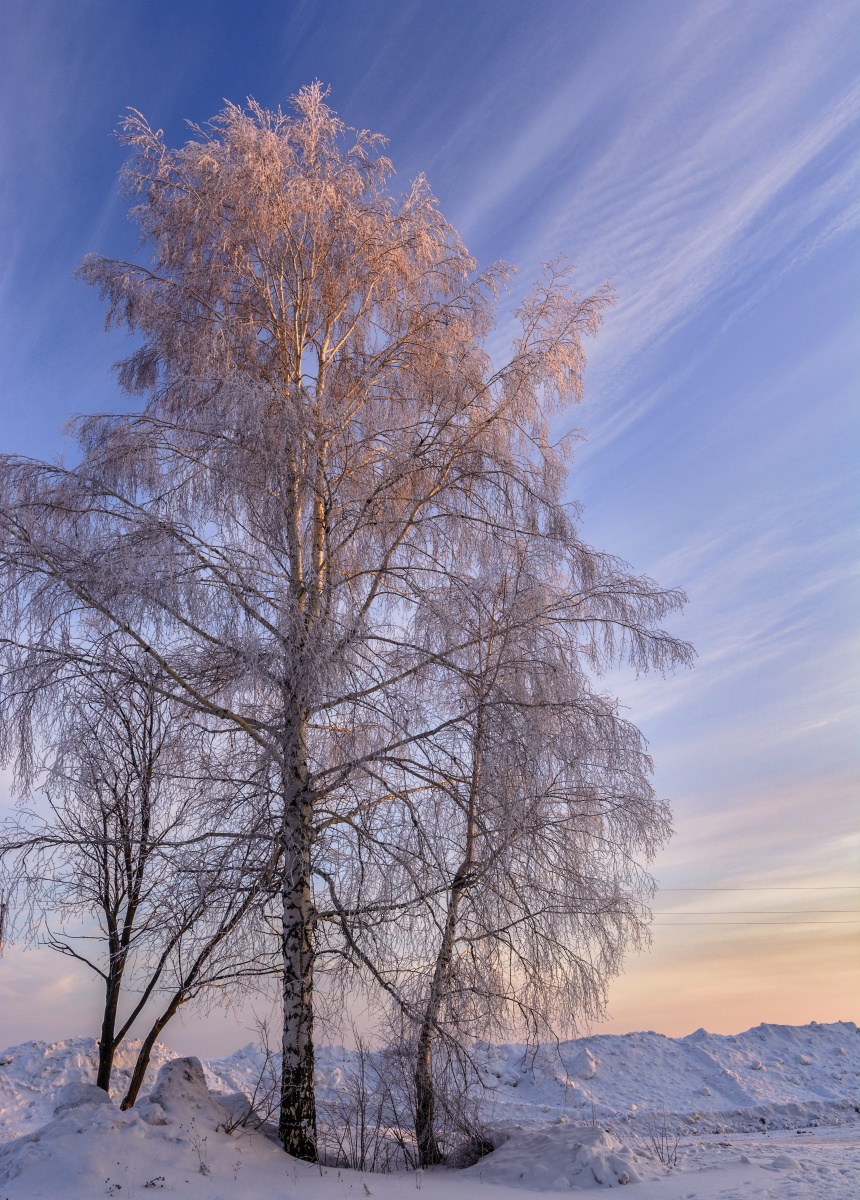 Пробуждение.