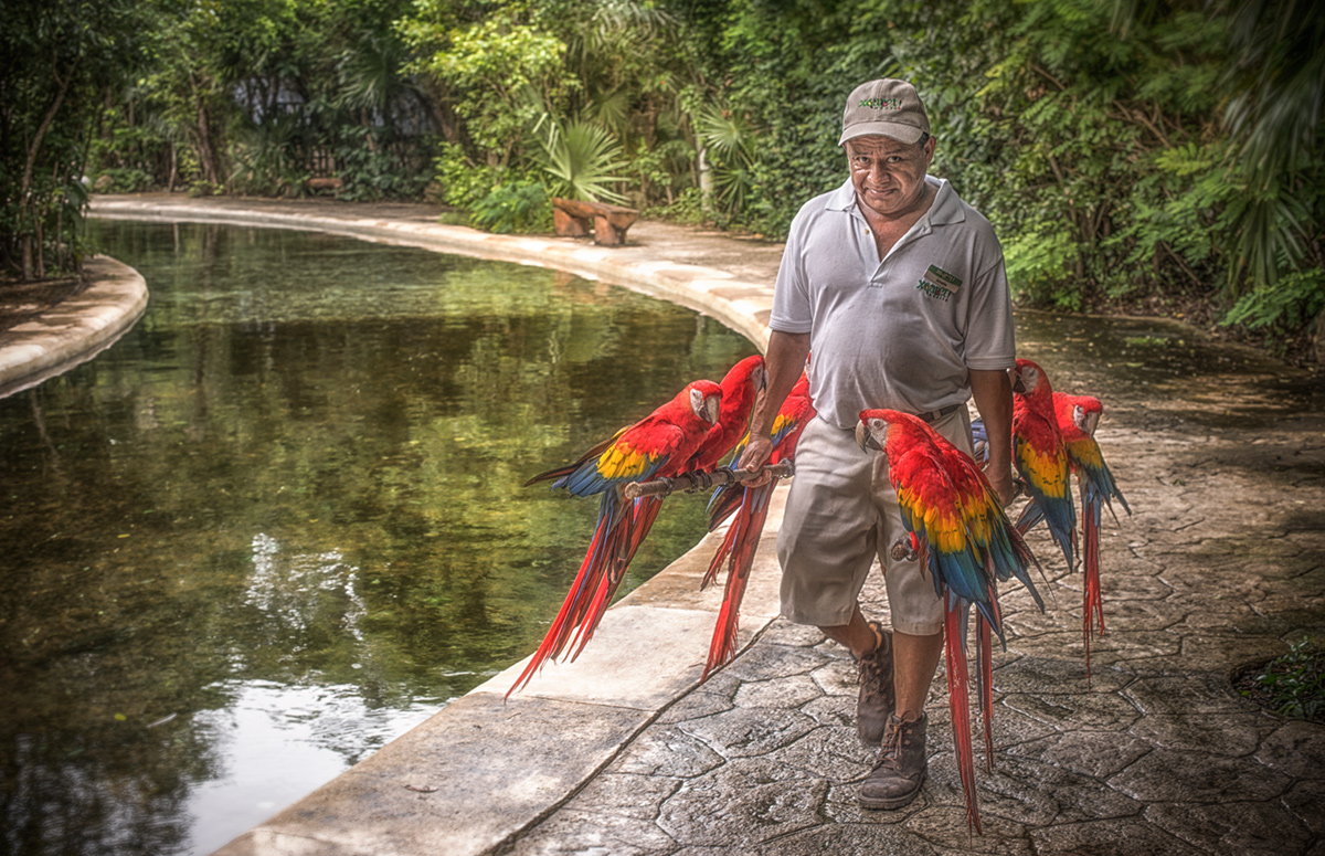 bundle of the fresh parrots :)