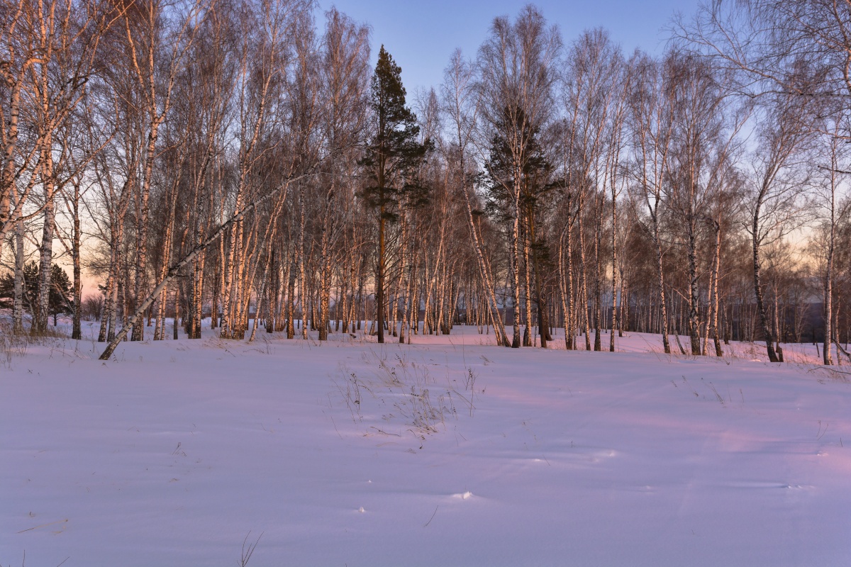Цвет заката.