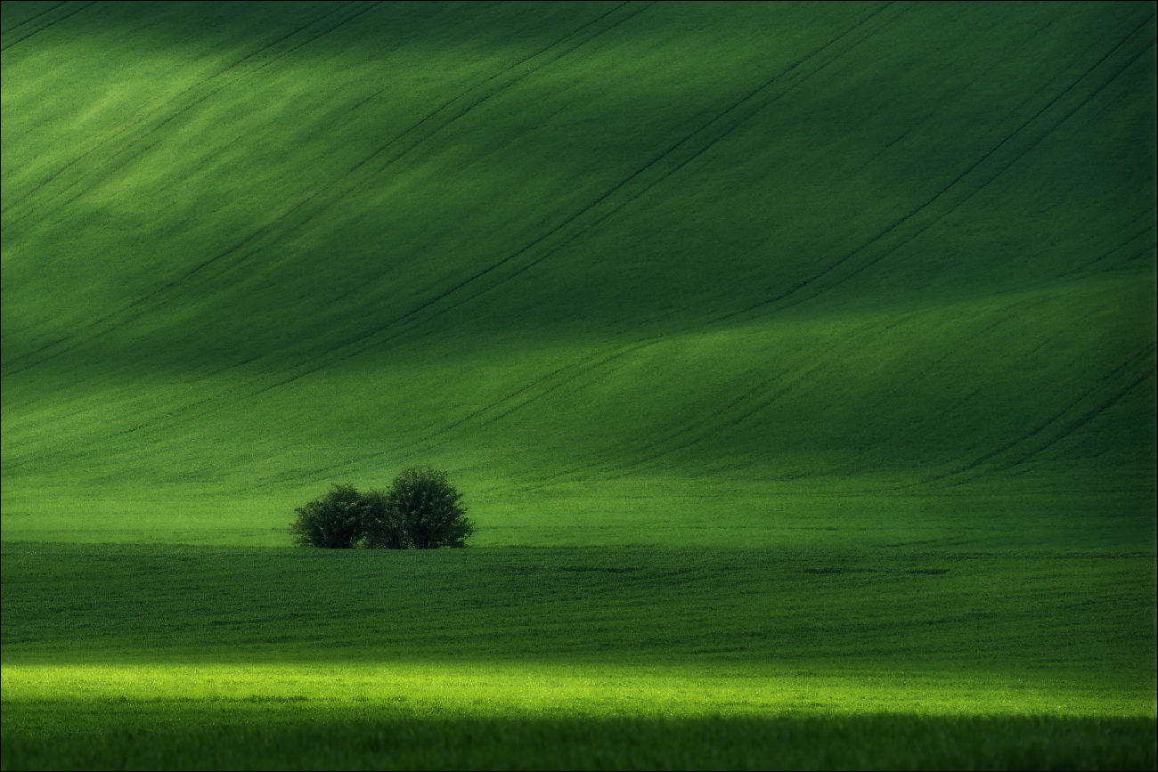 / Водный мир /