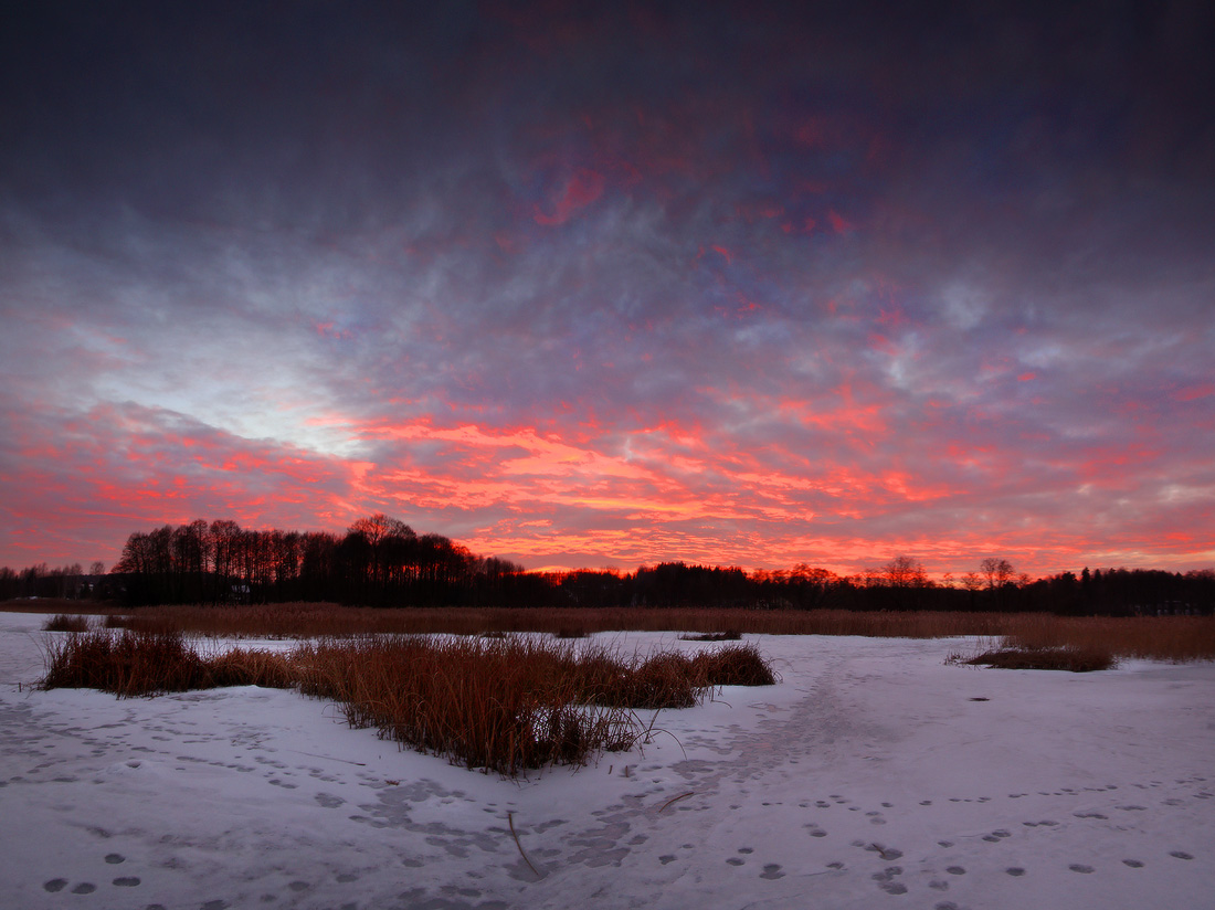 февральский вечер