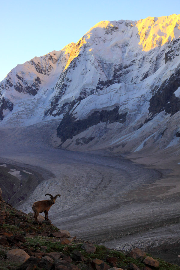 Утренний тур