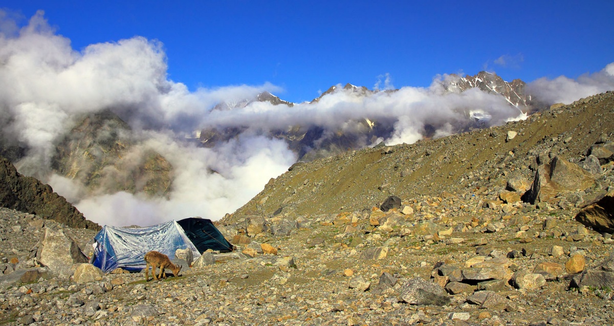 Теплый угол