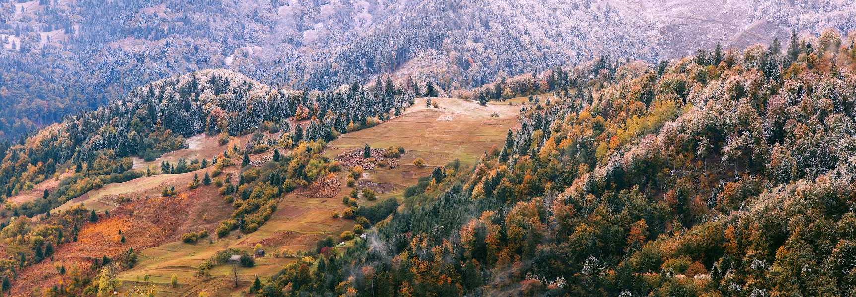 Ложился первый снег