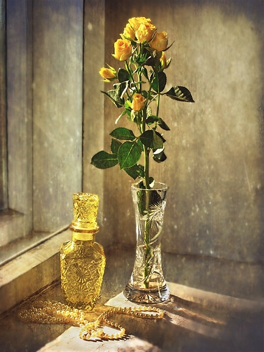 Sketch mit einer gelben Rose