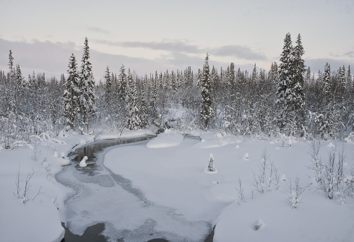 Где-то в заполярье III