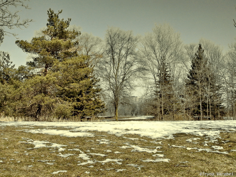 уползающая натура