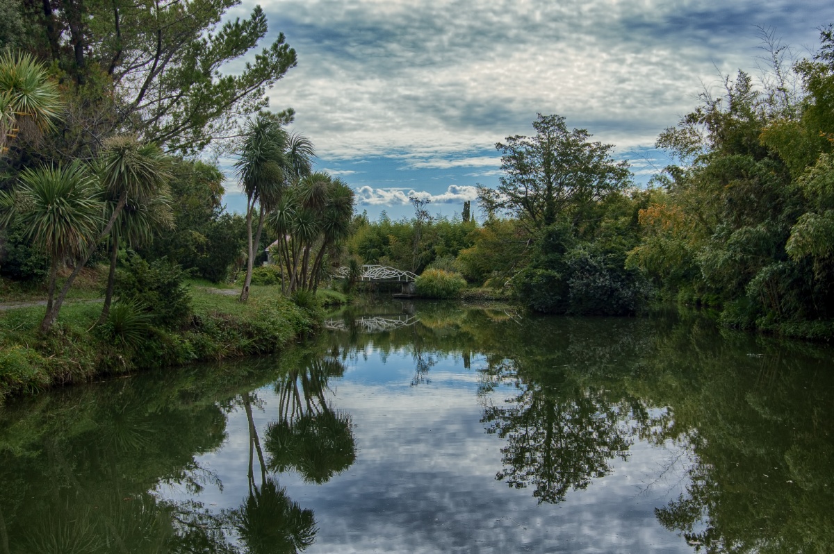 Старый парк