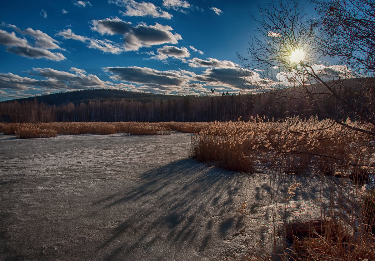Весеннее солнце