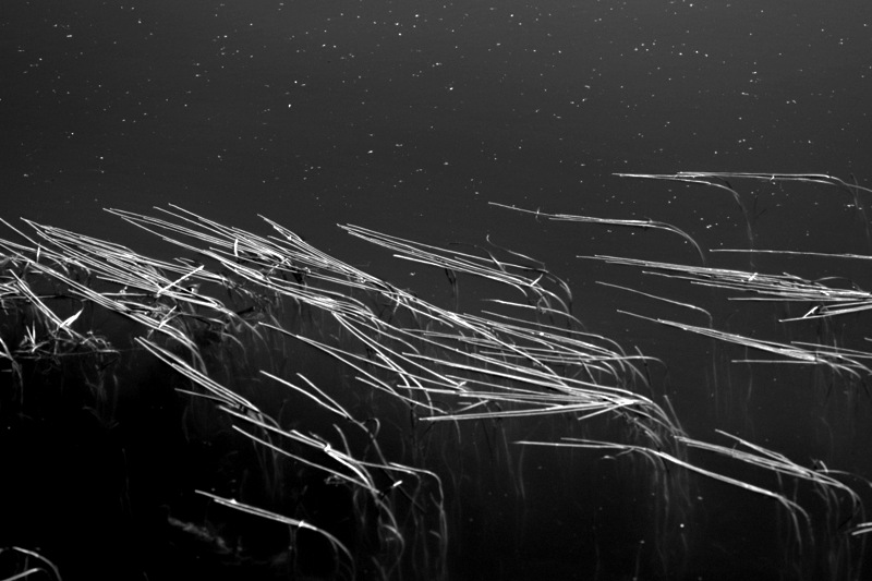 Пятничная гравитация