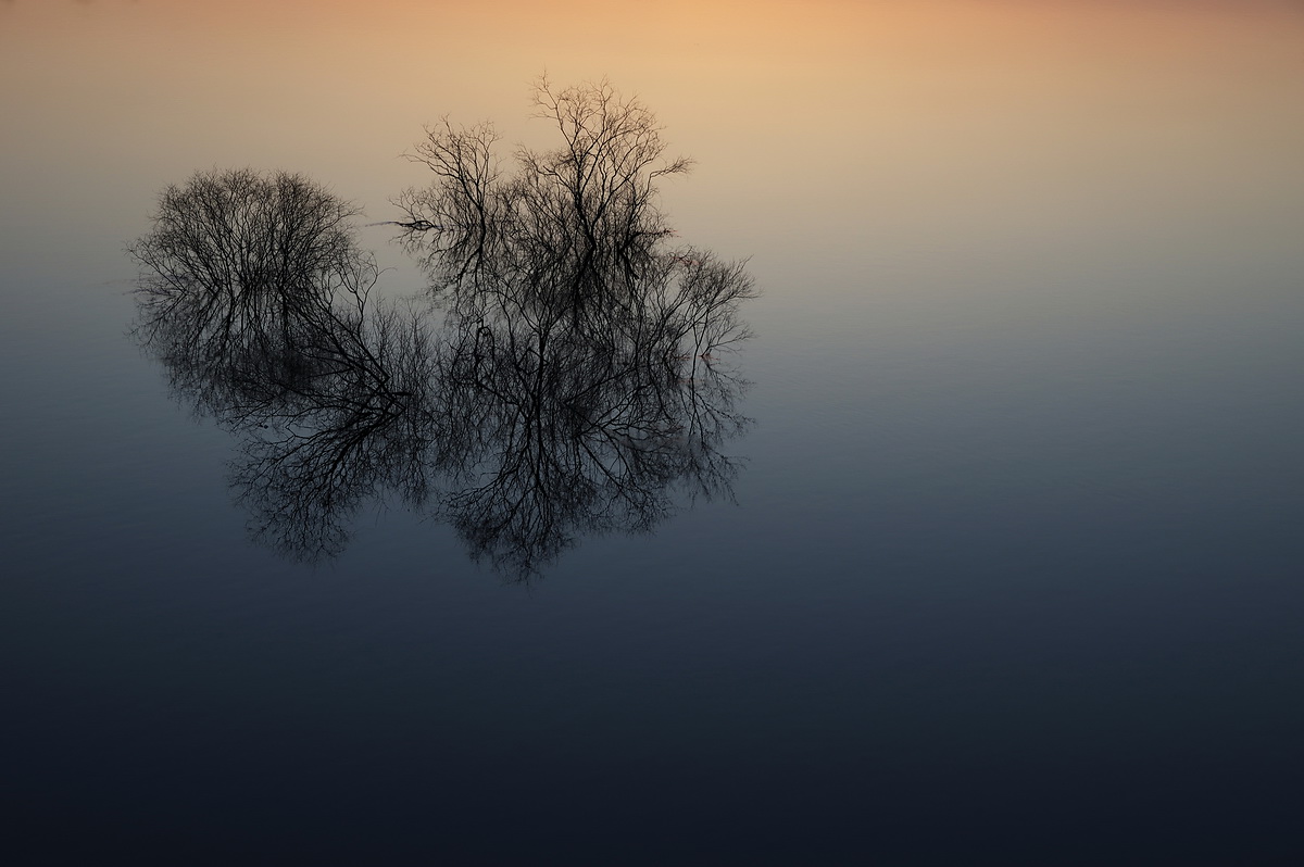 Пятничная гравитация