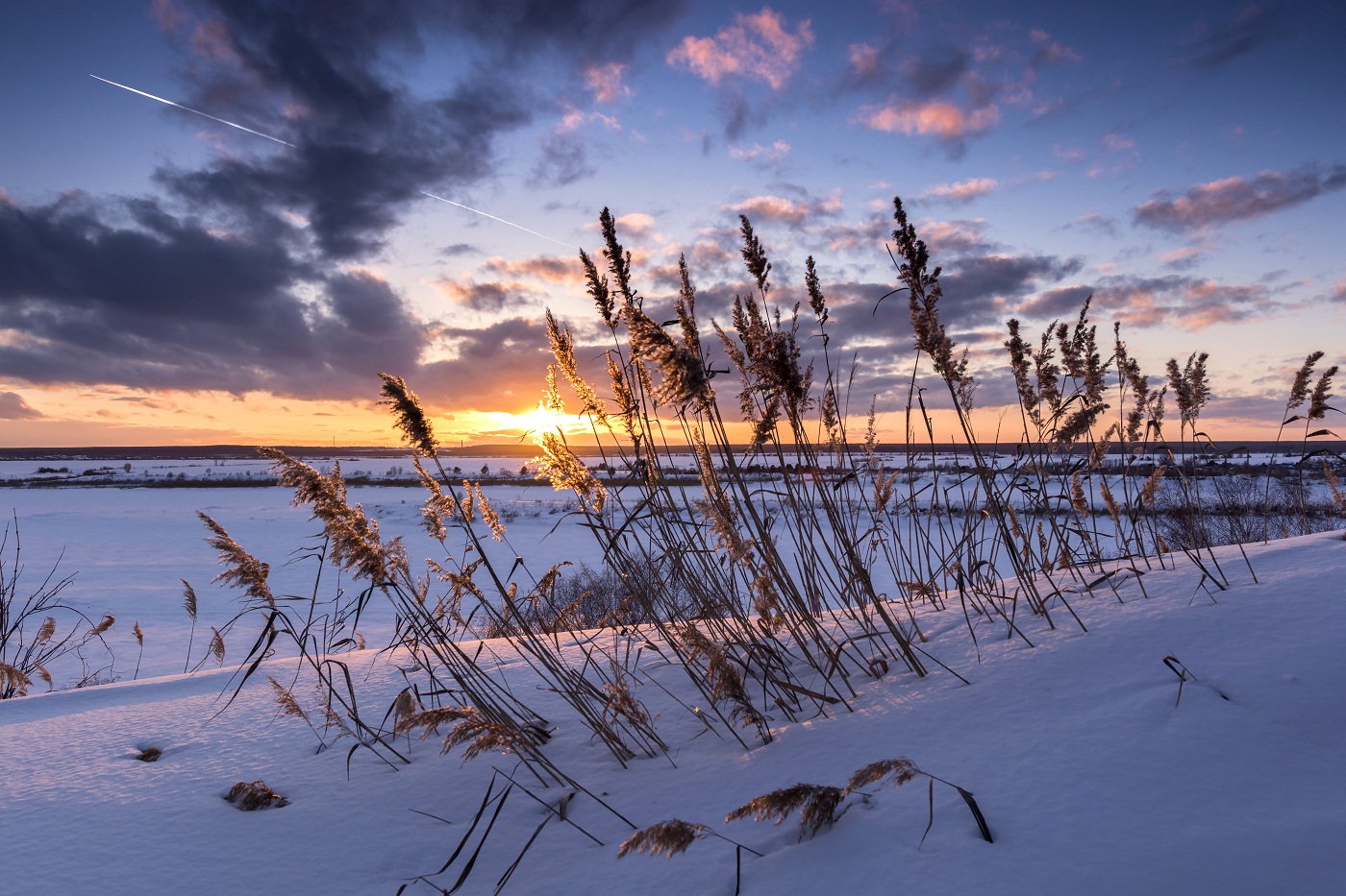 Камышовый закат! (2)