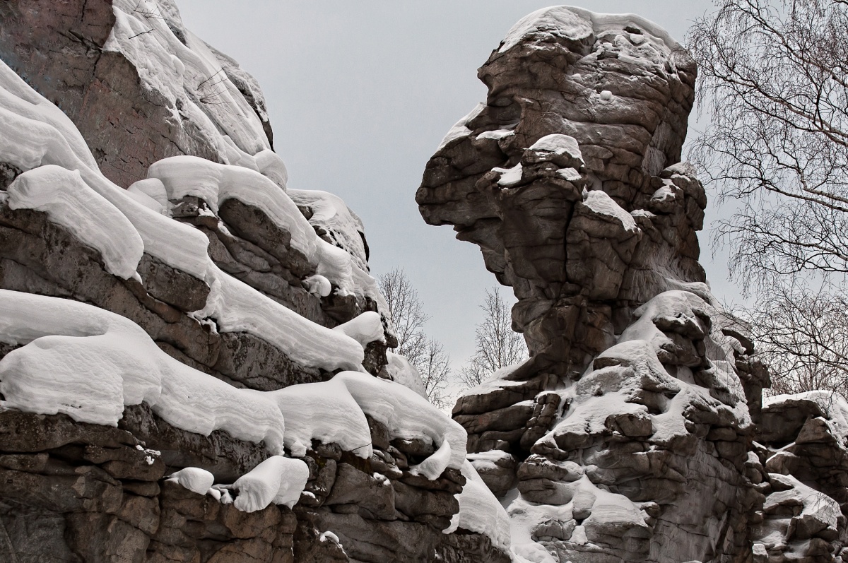 Хозяин тайги