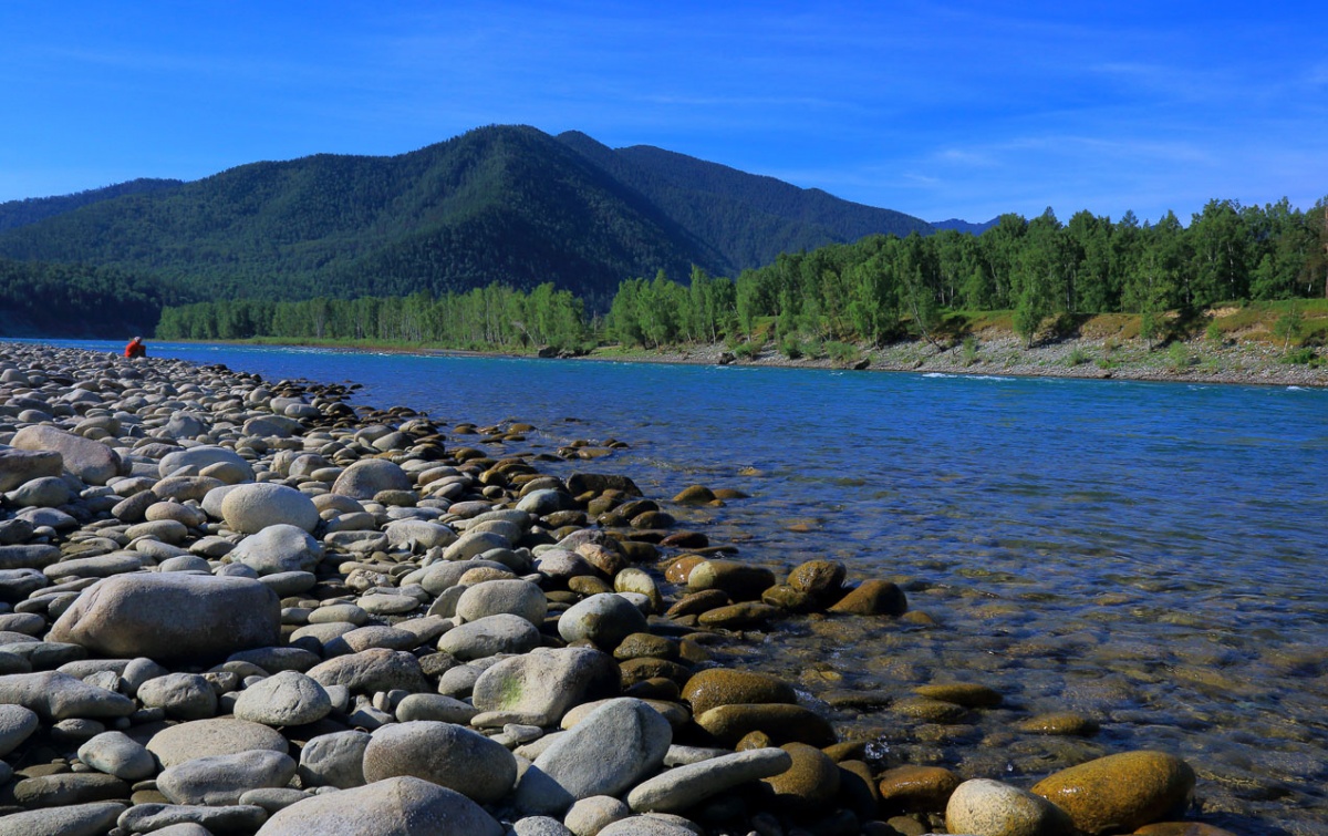 На берегу Катуни