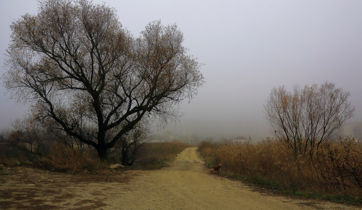 Утро в Симферополе