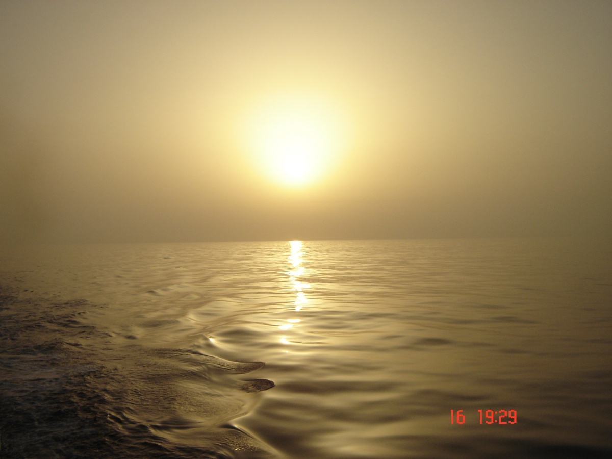 море в тумане