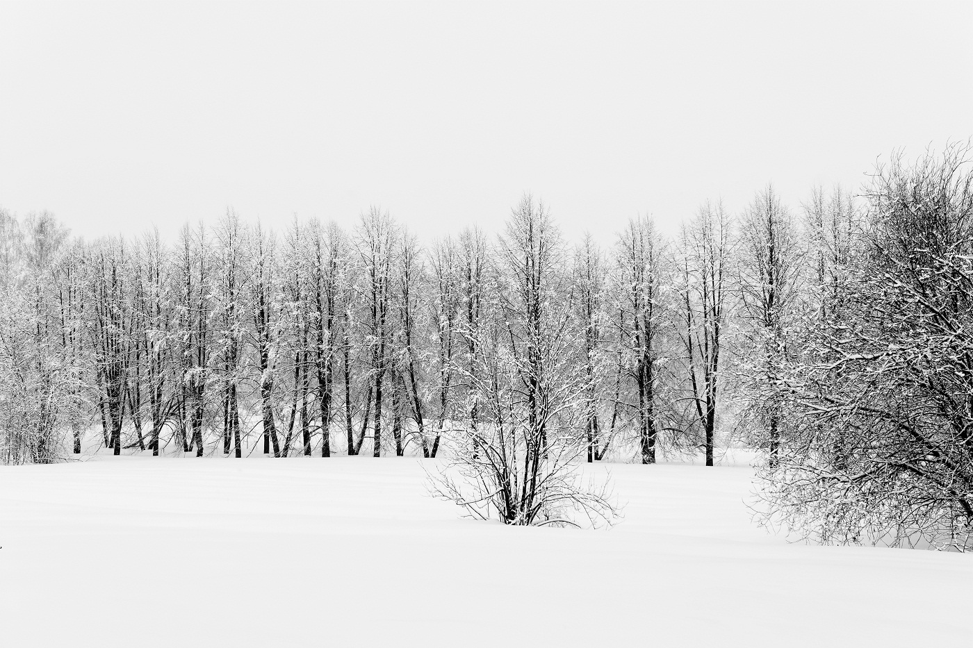 Причуды марта!