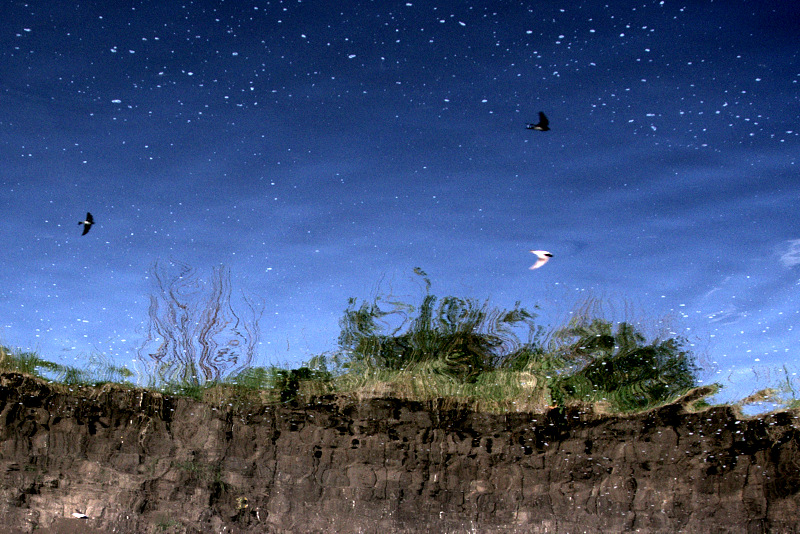 Как в воду глядел