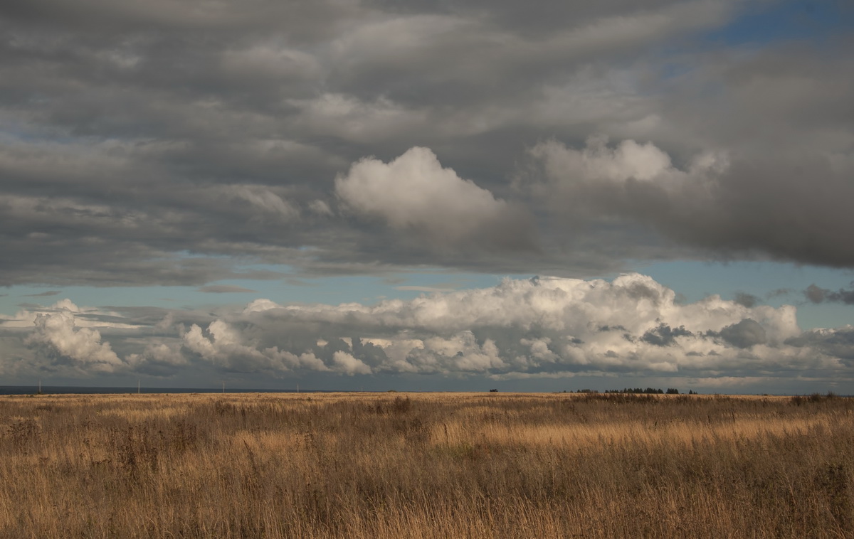 Пастельная осень