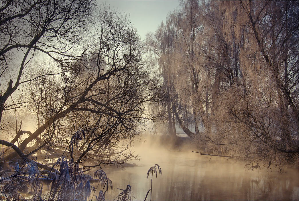 Утренняя свежесть