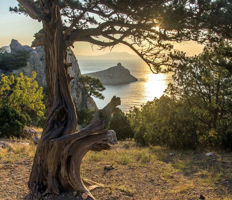 Прикосновение...