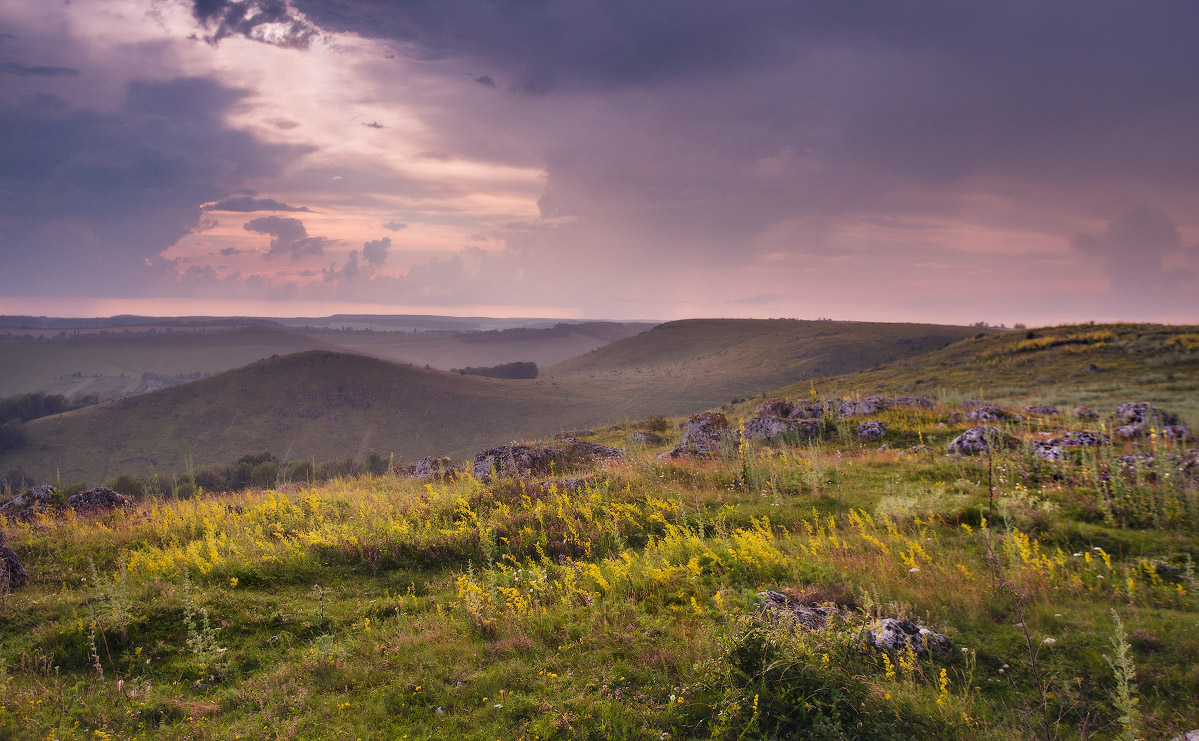 Вечерний дождь