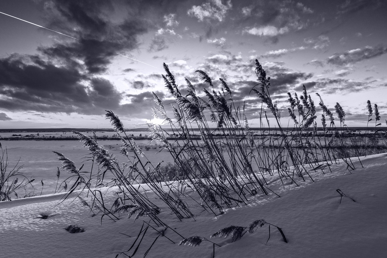 Чб вариант.